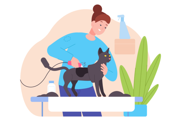 Pet Beauty Worker Groom Cat Color Icon